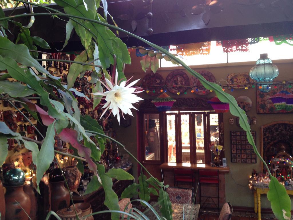 Bed and Breakfast Casa De Las Flores à Tlaquepaque Extérieur photo