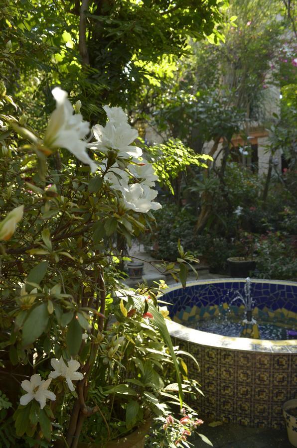 Bed and Breakfast Casa De Las Flores à Tlaquepaque Extérieur photo