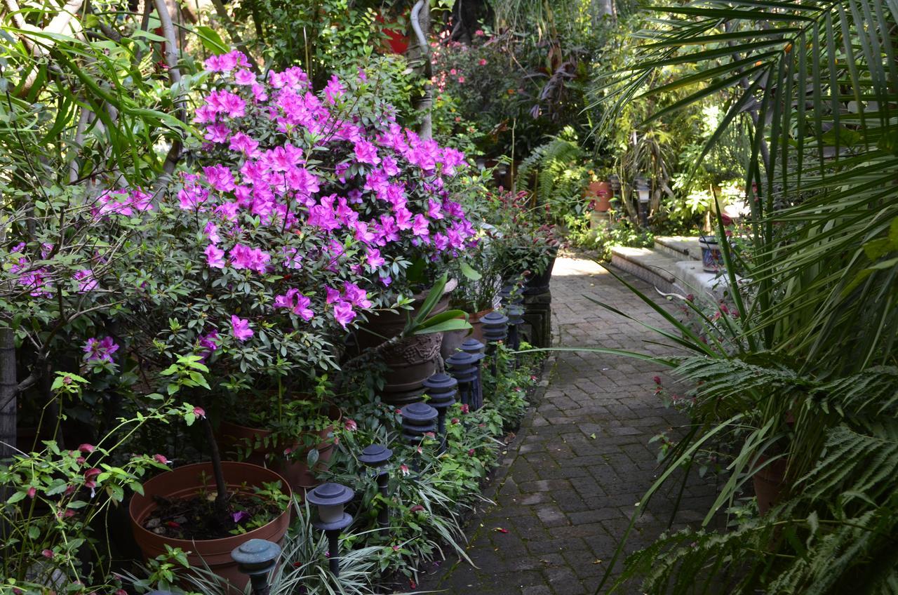 Bed and Breakfast Casa De Las Flores à Tlaquepaque Extérieur photo